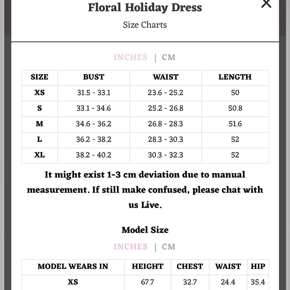 Lacemade floral holiday dress fairycore cottage kawaii fairy victorian Lolita - Picture 3 of 14